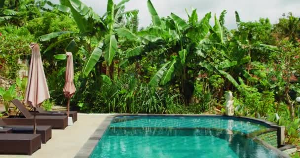 Arka Plandaki Tropikal Orman Palmiyelerinde Havuz Kenarında Güneşlenen Dinlenme Alanı — Stok video
