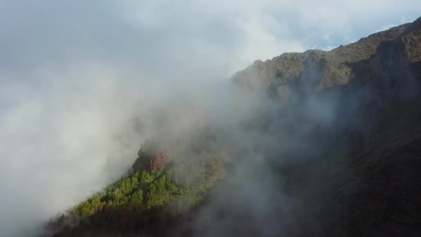Fog Clouds Quicly Descend Mountainside Gorge Coniferous Forest Beautiful Mountain — Stock Video