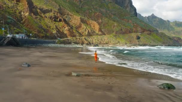 Osamělá Krasavice Běhá Moři Východ Slunce Nad Tropickým Pobřežím Krásná — Stock video
