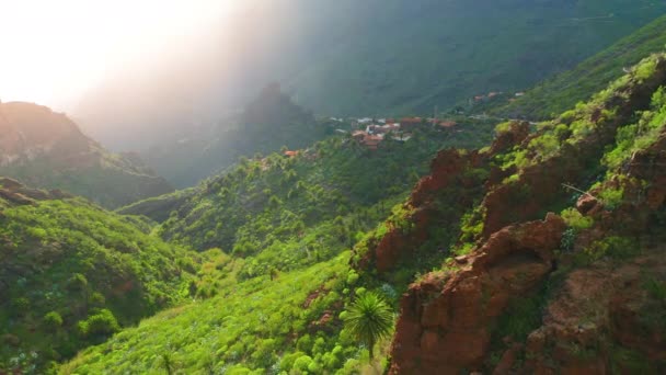 令人叹为观止的马斯卡峡谷绿色陡峭的山脉和特内里菲岛的特诺村国家公园景观 自然背景录像 晨云在金色的日出中 没人空中无人驾驶飞机 — 图库视频影像
