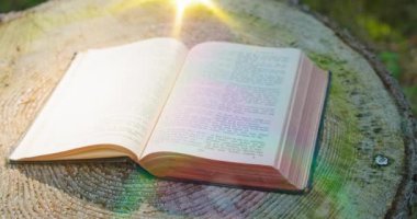 Kutsal İncil. Doğal bir arka plan üzerine kutsal kitabı aç. Orman doğası. Güneş ışınları sayfalara düşüyor. Koca bir kütük. Yakın plan. Kimse..