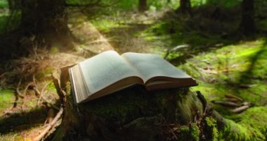 Kutsal İncil 'in kutsal sayfalarına kutsal ışık düşer. Rüzgâr çarşafı döndürüyor. Kitabın sayfalarını çeviriyorum. Öğrenme, bilgelik ve sihir. Kitabın içinden gelen parıltı..