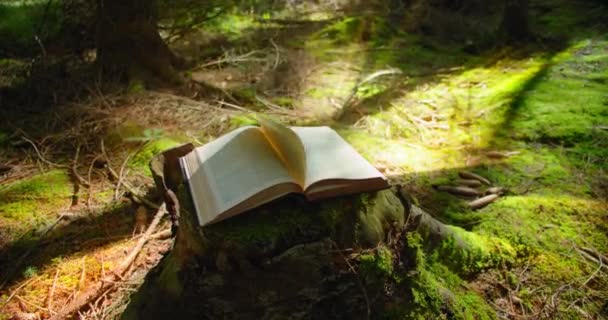 Rüzgar Açık Bir Kitabın Sayfalarını Çeviriyor Yeşil Orman Arka Planında — Stok video