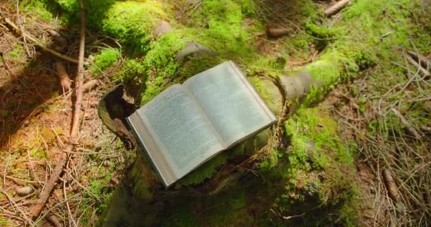 Nebeské Světlo Dopadá Posvátné Stránky Bible Svaté Vítr Otáčí Plachtu — Stock video