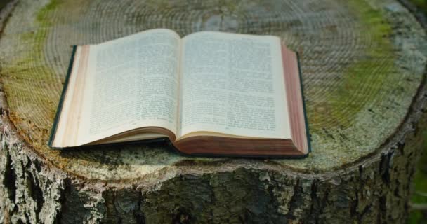 聖書は英語とドイツ語の2つの言語で書かれています 自然の背景に神聖な本を開く 森の自然について 風が紙のページに吹く ビッグオールド スタンプ カットツリー 日光のレイズが落ちる — ストック動画