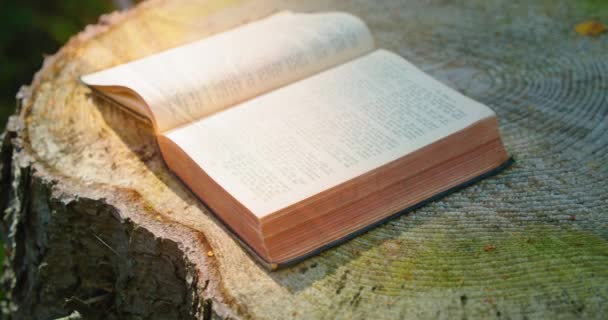 Nın Kutsal Ncil Güneş Işığı Açık Bir Kitabın Sayfalarını Aydınlatır — Stok video