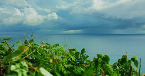 Spokojne Morze Przed Deszczem Zielonymi Tropikalnymi Krzewami Burzliwymi Ciemnymi Chmurami — Wideo stockowe