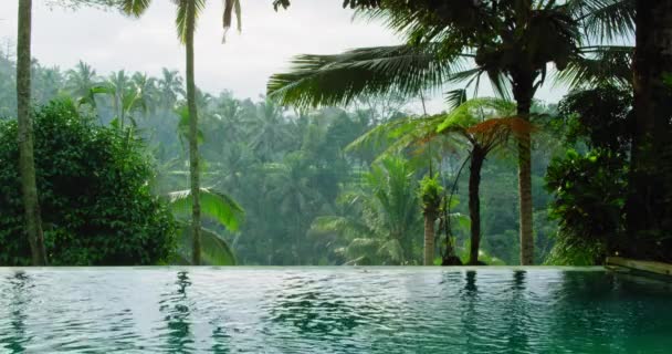 Niesamowity Egzotyczny Ogród Palmami Wokół Tropikalnego Basenu Las Deszczowy Zielony — Wideo stockowe