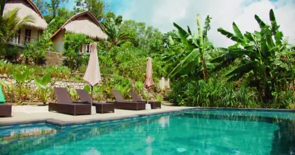 熱帯林のヤシの木を背景にプールでサンラウンジャー付きのリラクゼーションエリア リゾート週末休暇のコンセプト — ストック動画