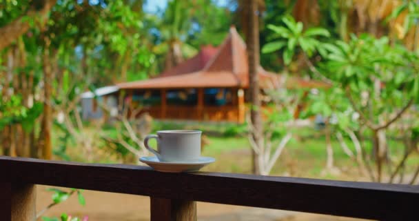 Chávena Café Balinês Varanda Com Jardim Verde Tropical Natureza Fundo — Vídeo de Stock