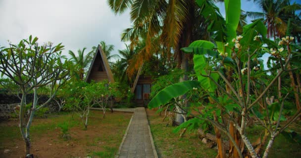 Hermoso Paisaje Natural Jardín Con Casas Tradicionales Balinesas Indonesias Fondo — Vídeos de Stock