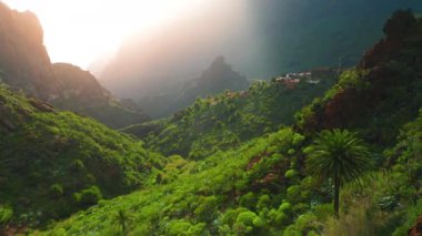 Spring nature with bright green grass and palm trees on a sunny morning. The rays of the sun shine Masca Gorge and village in ravine. Beautiful natural landscape. Tenerife Canary Islands Spain Europe