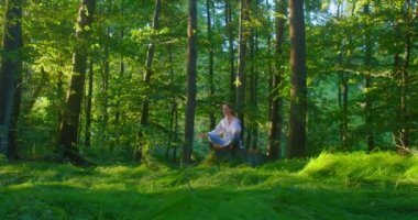 Ormanda yoga yaparak zihinsel hastalıkların tedavisi. Genç kız kütüğün üzerinde oturuyor ve ormanlık alanda meditasyon yapıyor. Güzel bir kadın Lotus pozisyonunda oturuyor ve akşam gözleri kapalı rahatlıyor.