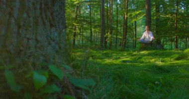 Solunum sistemini onarmak için nefes egzersizleri. Güzel bir kadın ormanın ortasında yerde oturarak meditasyon yapıyor. Genç bir kadın gözleri kapalı ormanlık alandan zevk alıyor. Yavaş çekim