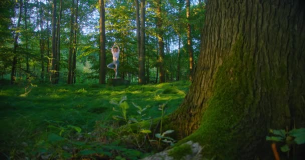 Baumpose Naturlandschaft Junge Frau Praktiziert Yoga Park Fitness Gesundes Lebensstil — Stockvideo
