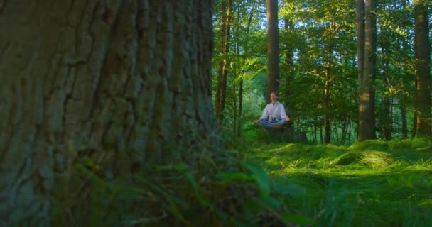 Solunum Sistemini Onarmak Için Nefes Egzersizleri Güzel Bir Kadın Ormanın — Stok video