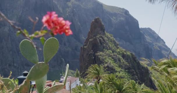 Masca Gorge Aldeia Ilha Tenerife Ilhas Canárias Espanha Movimento Lento — Vídeo de Stock