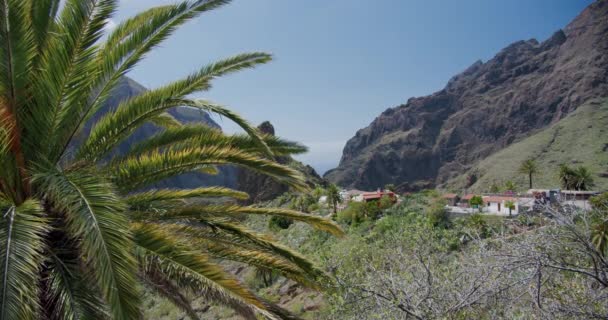 Masca Gorge Aldeia Ilha Tenerife Ilhas Canárias Espanha — Vídeo de Stock