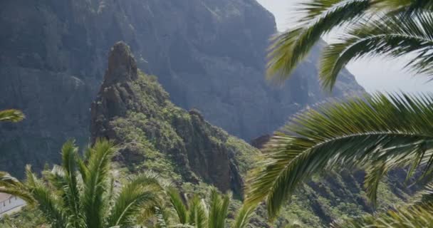Tropiska Palmer Blad Rör Sig Vinden Masca Gorge Teneriffa Kanarieöarna — Stockvideo