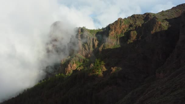 曇りの日に針葉樹林とTeide国立公園の砂漠の山の火山風景 ハイキングエリア スペインで最も高い火山 空中ドローン映像 — ストック動画