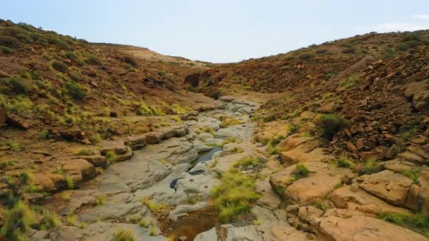 Suche Koryto Rzeki Gorących Pustynnych Naturalnych Warunkach Suszy Krajobrazowej Powodu — Wideo stockowe