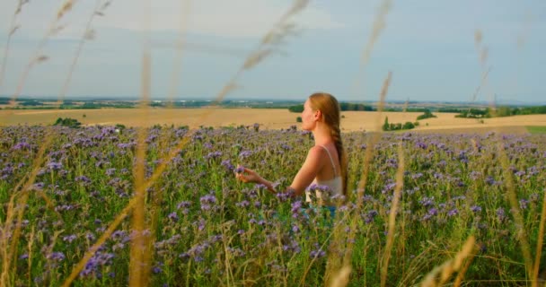 Young Long Haired Woman Purple Flowers Field Meditating Calm Face — Video Stock