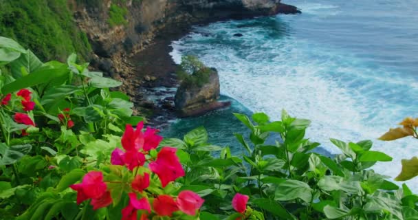 海の風景深紅の花と熱帯岩のビーチでのクラッシュを発生海の波の平和的なビュー ウルワツ バリ島インドネシア 崖の端にマゼンタの花 紺碧の水 トップダウン — ストック動画
