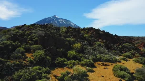 Aerial View Teide Volcano Desert Landscape Tenerife Canary Islands Spain — стоковое видео