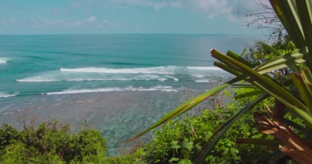 Bali Indonesia Green Bowl Beach Ocean Waves Roll Beach Blue — Αρχείο Βίντεο