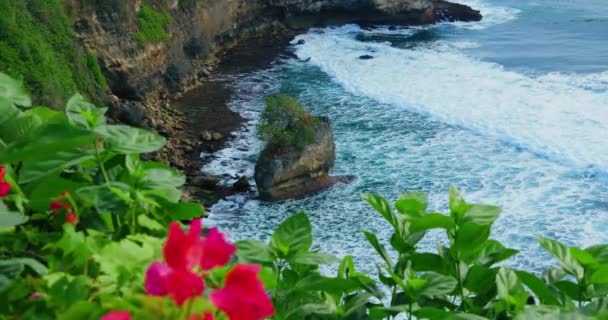 海の風景深紅の花と熱帯岩のビーチでのクラッシュを発生海の波の平和的なビュー ウルワツ バリ島インドネシア 崖の端にマゼンタの花 紺碧の水 トップダウン — ストック動画
