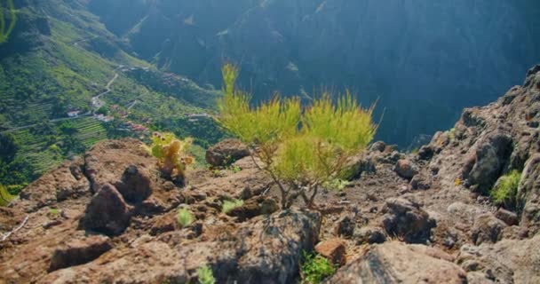 Masca Village Gorge Famous Tourist Destination Tenerife Canary Islands Spain — Vídeo de Stock