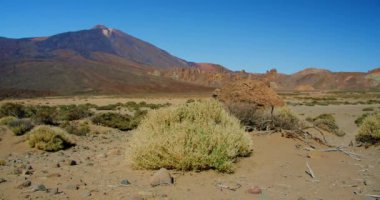 Teide Ulusal Parkı, Tenerife, Kanarya Adaları volkanik kayaların arasındaki lav alanı, çorak arazi. El kamerasıyla. Volkanik doğa manzarası. Tenerife 'deki Teide Volkanı ve Pico del Teide Dağı, Kanaryalar