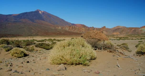Teide Nationalpark Teneriffa Kanarieöarna Lavafält Bland Vulkaniska Stenar Ödemark Handhållna — Stockvideo