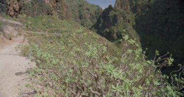 Adeje, Tenerife yakınlarındaki Barranco del Infino 'nun kayalık dağlık manzarası yürüyüş yolunu gösteriyor..