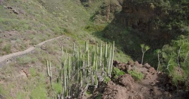 Rocky Mountainous Landscape Barranco Del Infierno Adeje Tenerife Showing Walking — Stock Video