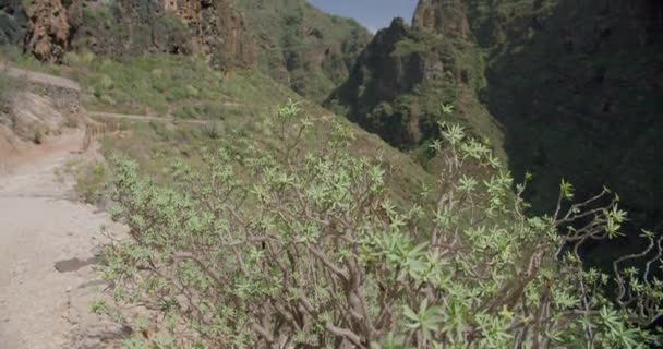 Skalnatá Hornatá Krajina Barranco Del Infierno Blízkosti Adeje Tenerife Ukazující — Stock video