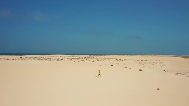 Flug Aus Der Luft Über Weiße Sanddünen Der Wüste Naturpark — Stockvideo