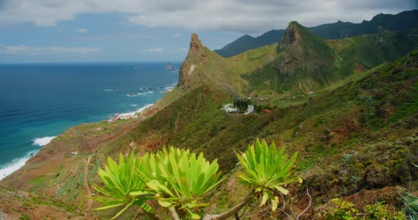 Groen Landschap Ten Noorden Van Tenerife Uitzicht Atlantische Kust Tropische — Stockvideo