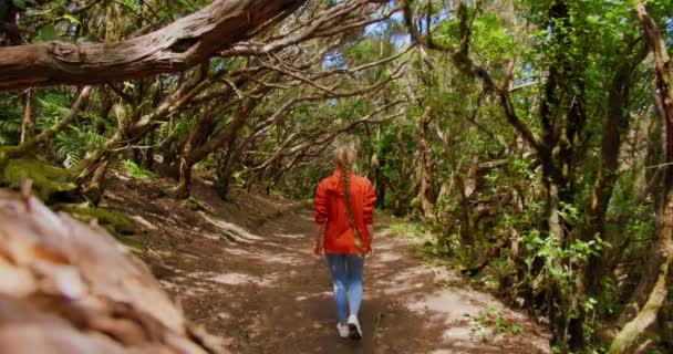 美丽的女徒步旅行者在月桂树林中散步 热带雨林 在皮科德尔Ingles 木材Merscdes 安纳加北部特内里费 慢动作 — 图库视频影像