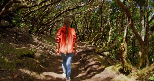 Vista Traseira Uma Jovem Caminhando Caminho Floresta Terra Parque Rural — Vídeo de Stock