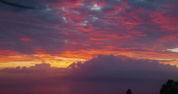 진홍색 햇살이 빛나는 황혼이었습니다 자연의 바다에서의 — 비디오