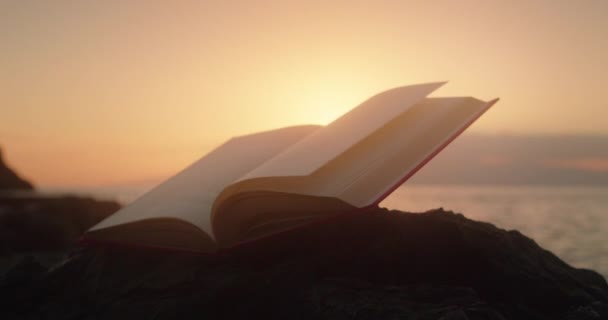 Открытая Книга Пляже Закатном Свете Океан Заднем Плане — стоковое видео