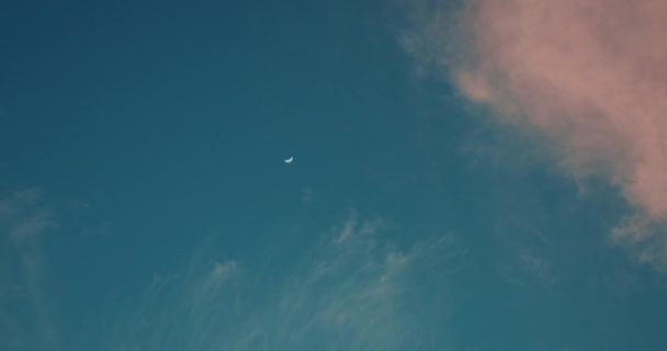 Akşam Mavi Gökyüzünde Yumuşak Pembe Bulutlu Yeni Küçük Kuşlar Yüksekten — Stok video