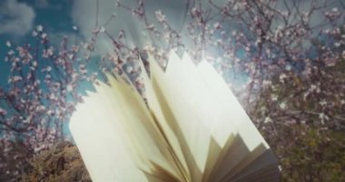 Baharda, çiçek açan bahçede, yakın plan beyaz çiçeklerle açık bir kitap. Dünya şiir günü. Eğitim bilgisi kavramı okumak. Sayfalar ışık ışınlarıyla parıldıyor.