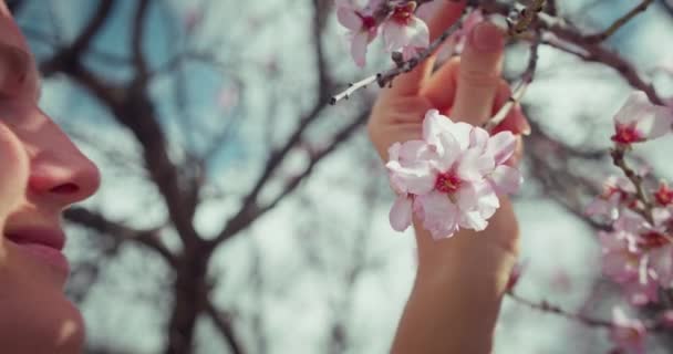 Woman Spring Green Garden Smelling Flowers Tree Girl Traveler Enjoying — Vídeos de Stock