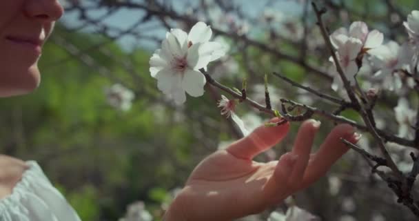 Дівчинка Насолоджується Весняним Природним Лісом Жінка Зблизька Фантазія Про Леді — стокове відео