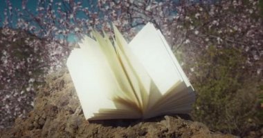 Gün ışığıyla aydınlatılmış açık bir kitap. Dünya şiir günü. Açık kutsal bir İncil 'in parlayan sayfaları. Bahar doğası. Kiraz çiçekleri.