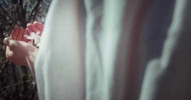 Vahşi doğada bahar çiçeklerini dikkatlice tutan dişi eller. Çevre koruma kavramı. Gezegeni kurtar. Dünya Günü.