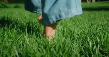 Yeşil çimlerde yürüyen çıplak ayaklı bir kadın. Çıplak ayaklı kadın, altın gündoğumunda çayırlarda yavaşça yürür. Yakın plan kız bacakları..