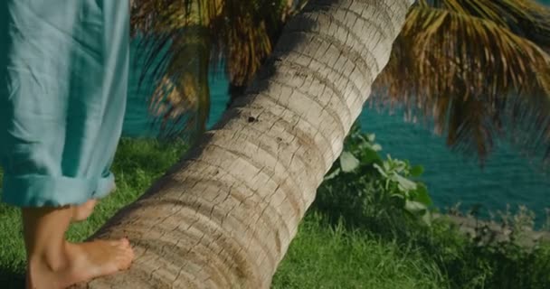 Крупный План Босиком Ходить Корню Дерева Открытом Воздухе Пальмовый Ствол — стоковое видео